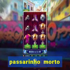 passarinho morto significado espiritual